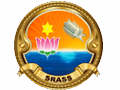 Sree Aditya Software Services Consultant
